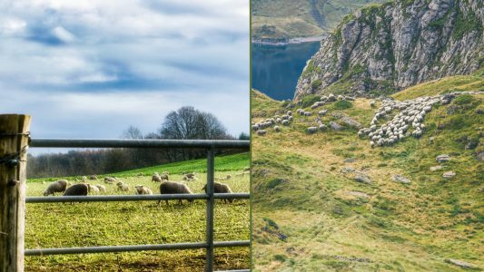 Fotos von Simon Haslett auf Unsplash + Eric TERRADE auf Unsplash