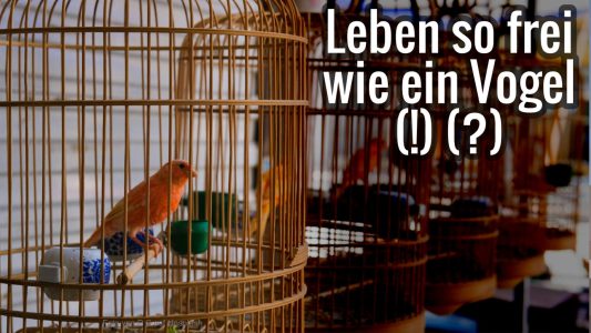 Ziel