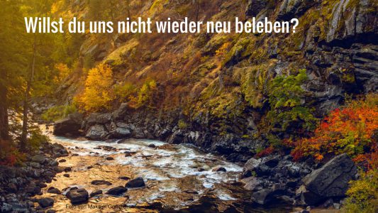 Foto von Frank Cone: https://www.pexels.com