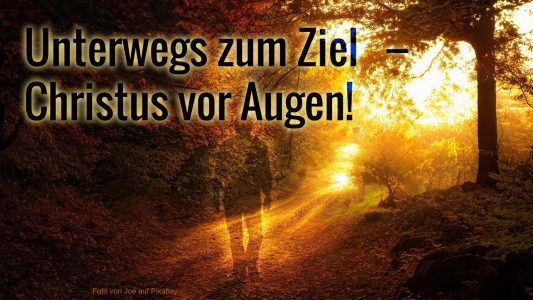 Bild von Joe auf Pixabay